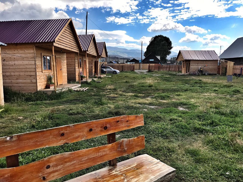 Кедровая роща - фото 81