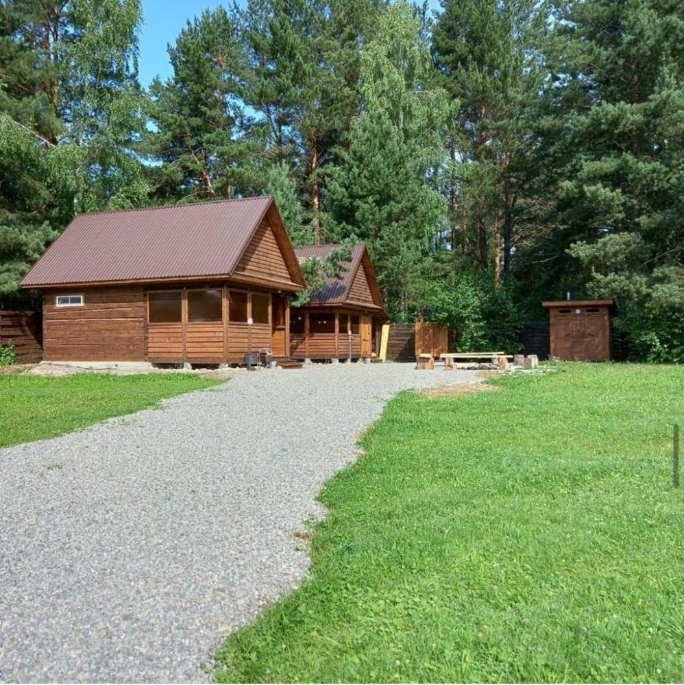 Кедровая роща - фото 83