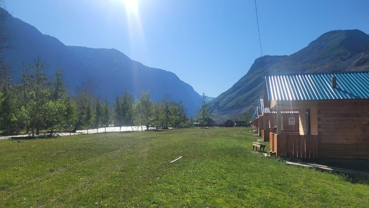 Кедровая роща - фото 85