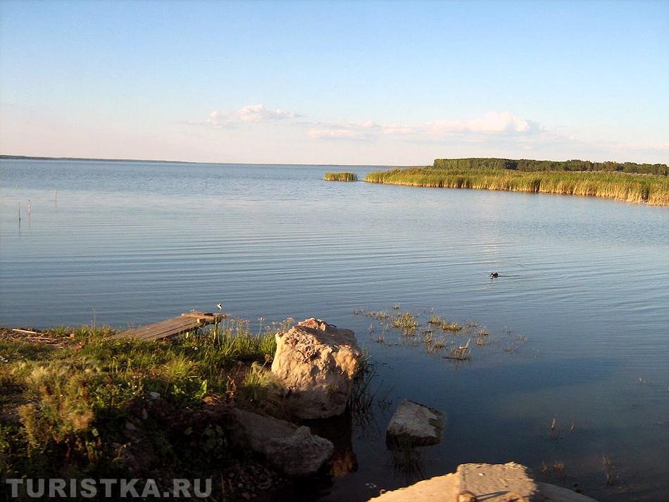 Кедровая роща - фото 87