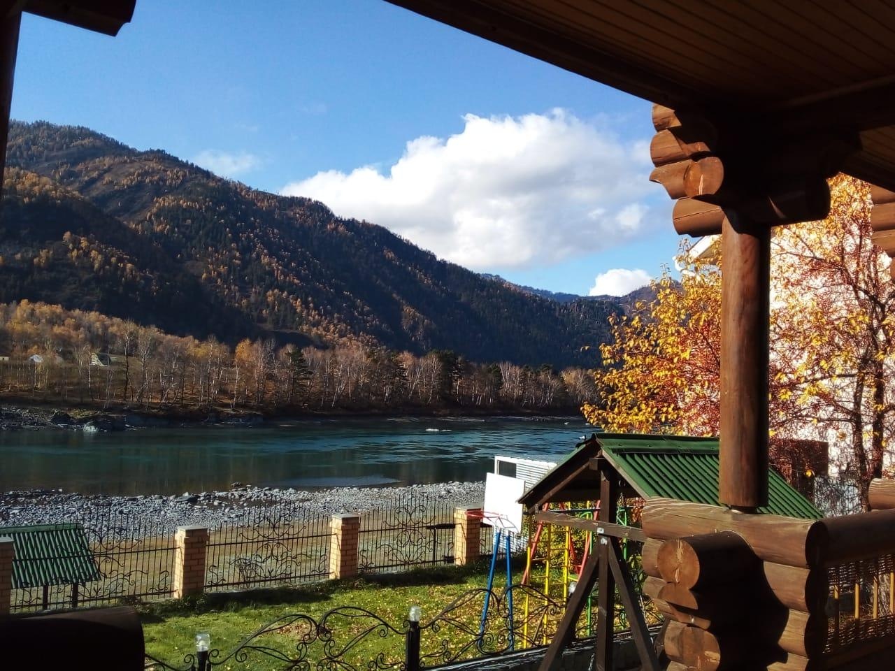 Кедровая роща - фото 94