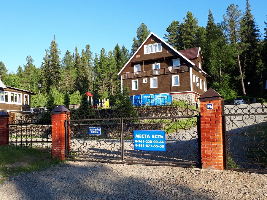 Кедровая роща - фото 103