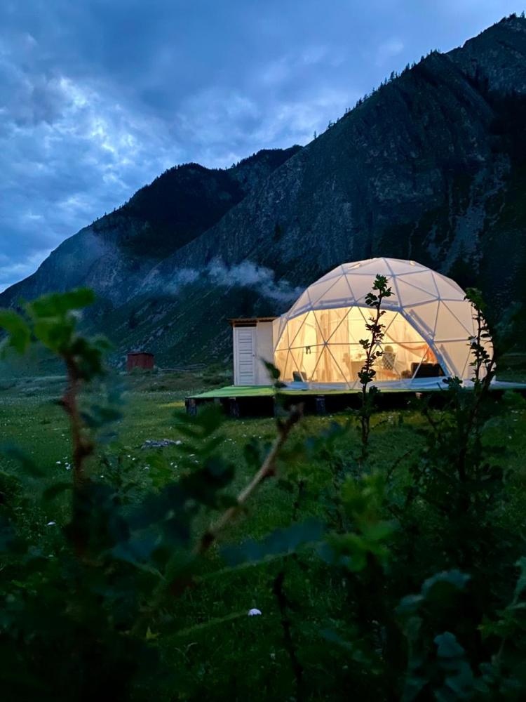 Кедровая роща - фото 105