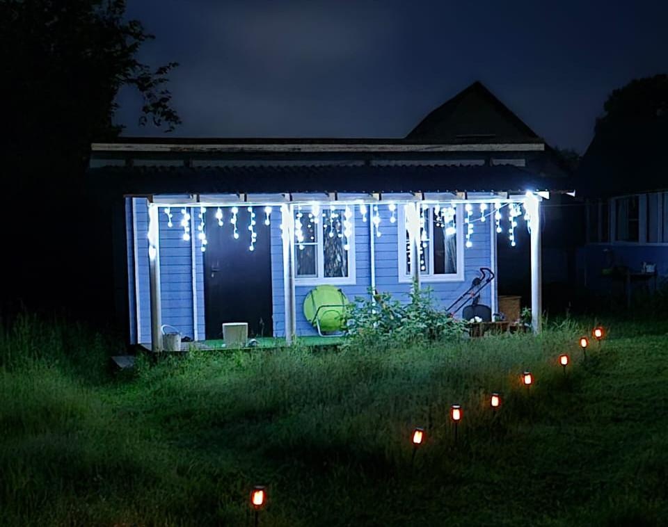 Кедровая роща - фото 110