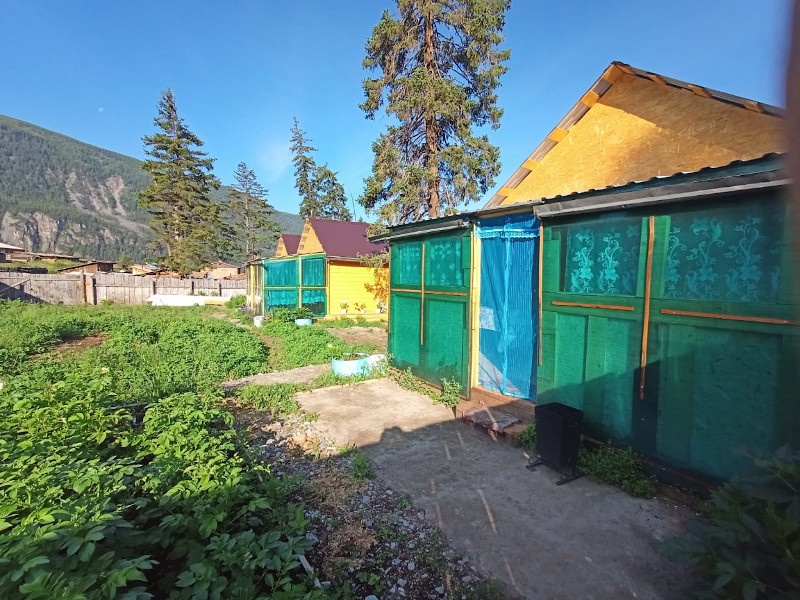 Кедровая роща - фото 115