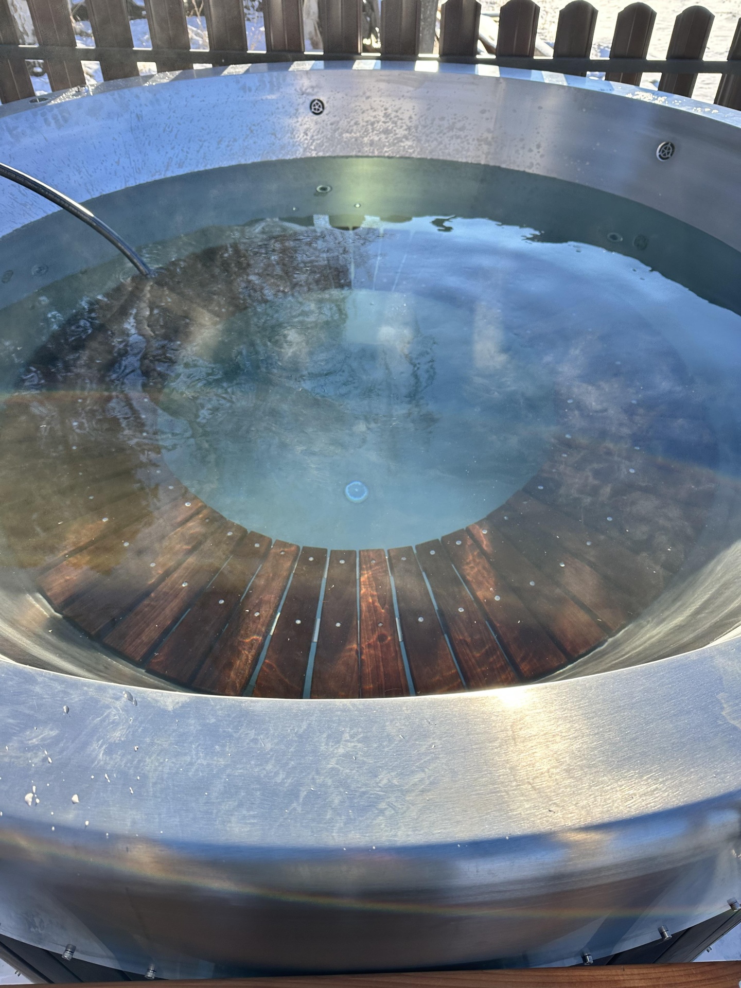 Кедровая роща - фото 117