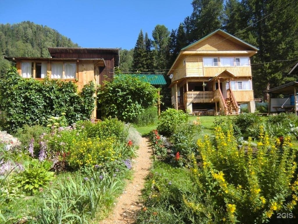 Сокол - фото 1