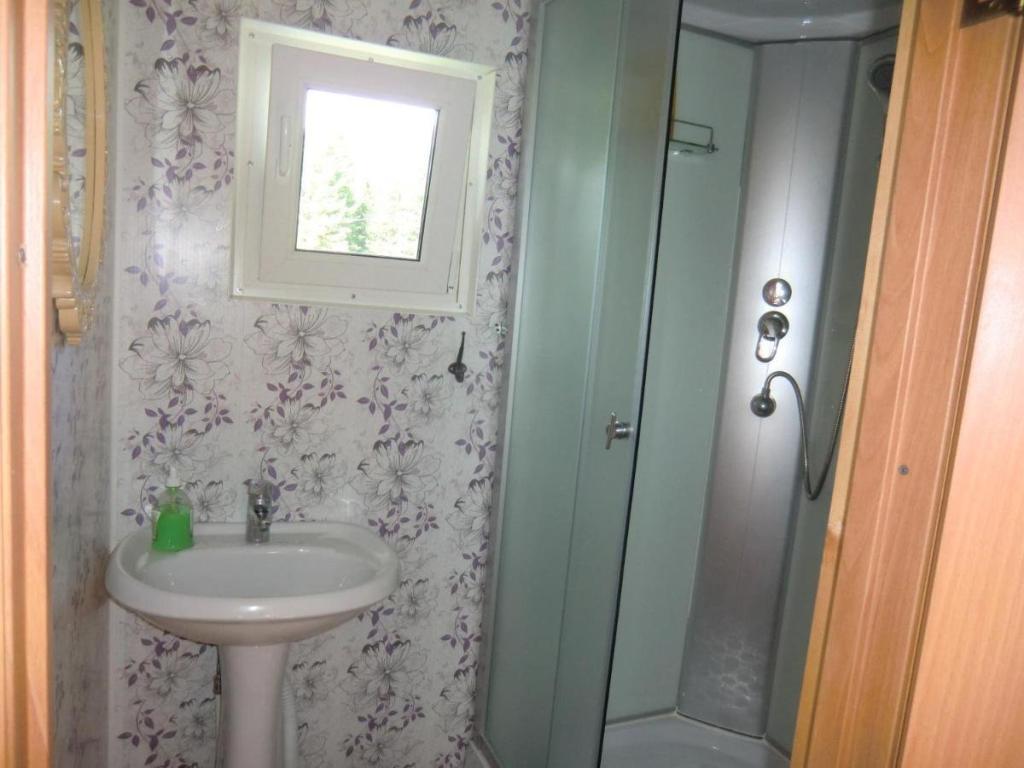 Сокол - фото 7