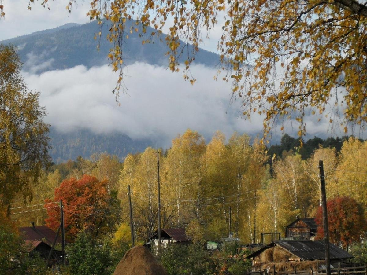 Сокол - фото 10