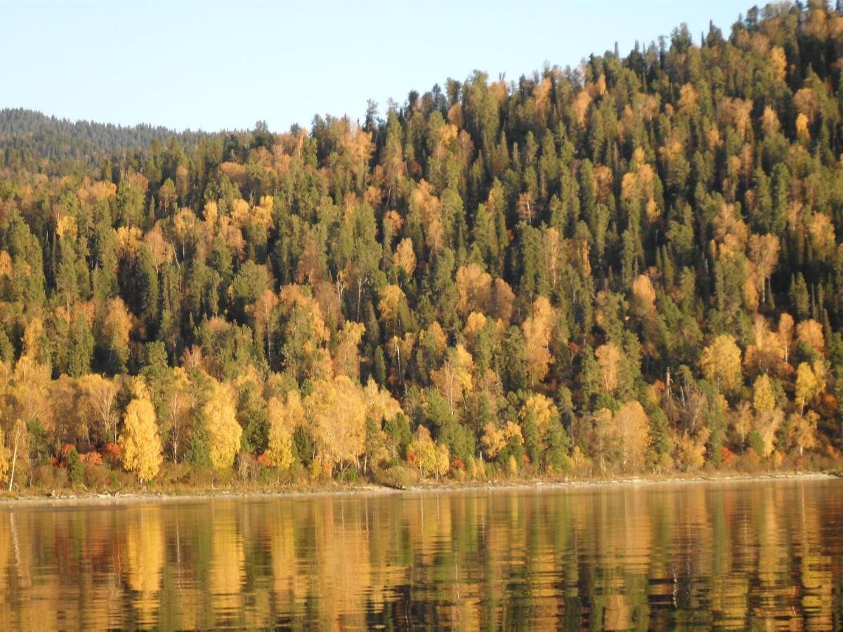 Сокол - фото 11