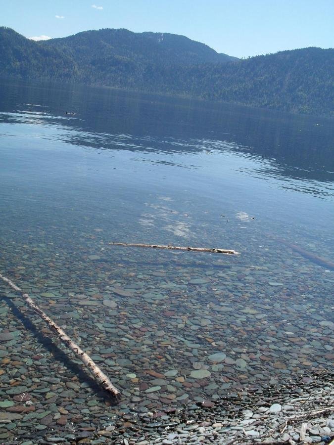 Сокол - фото 12