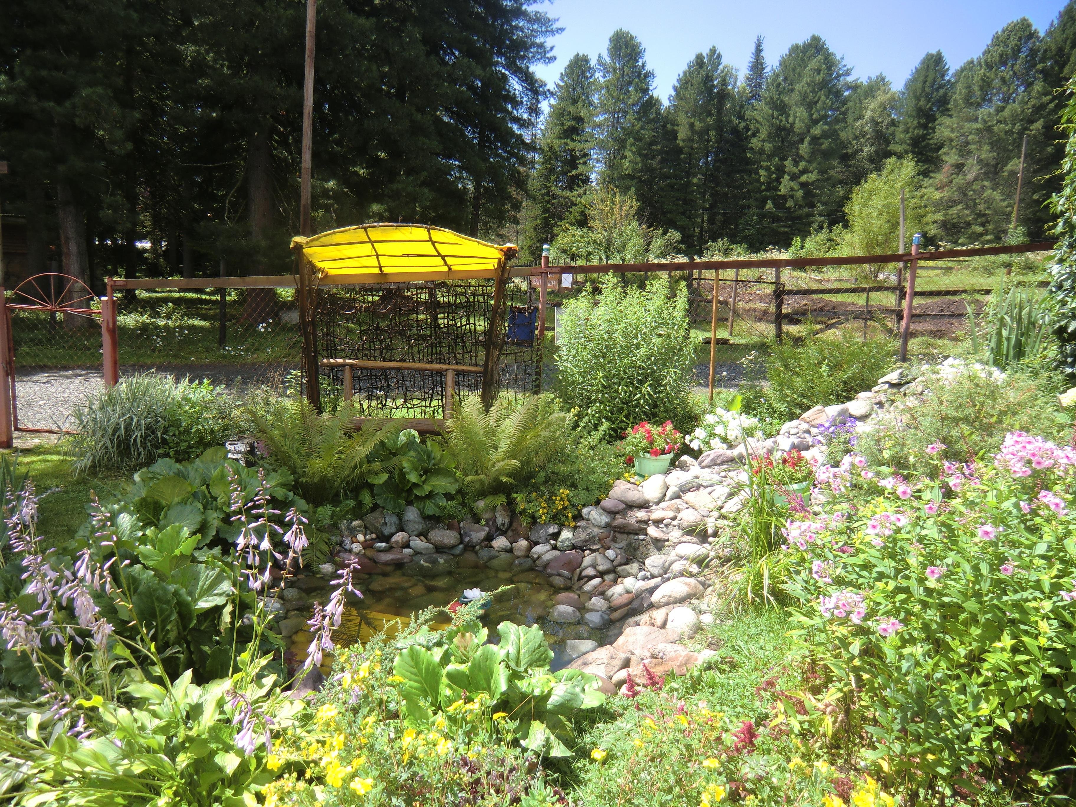 Сокол - фото 13