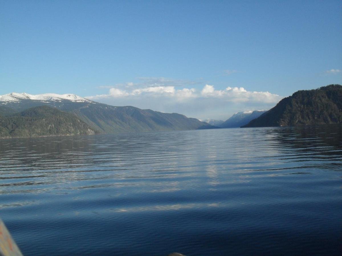 Сокол - фото 15