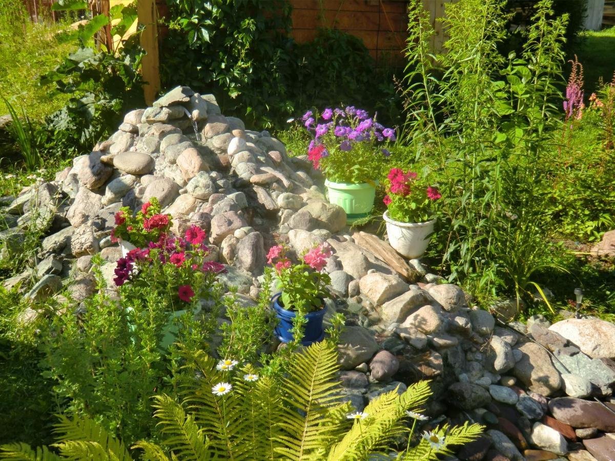 Сокол - фото 16