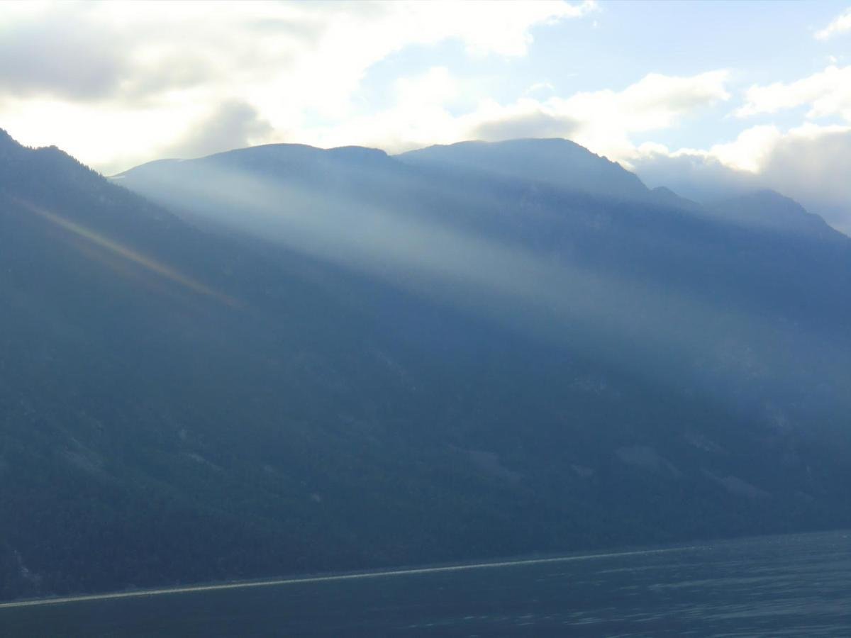 Сокол - фото 23