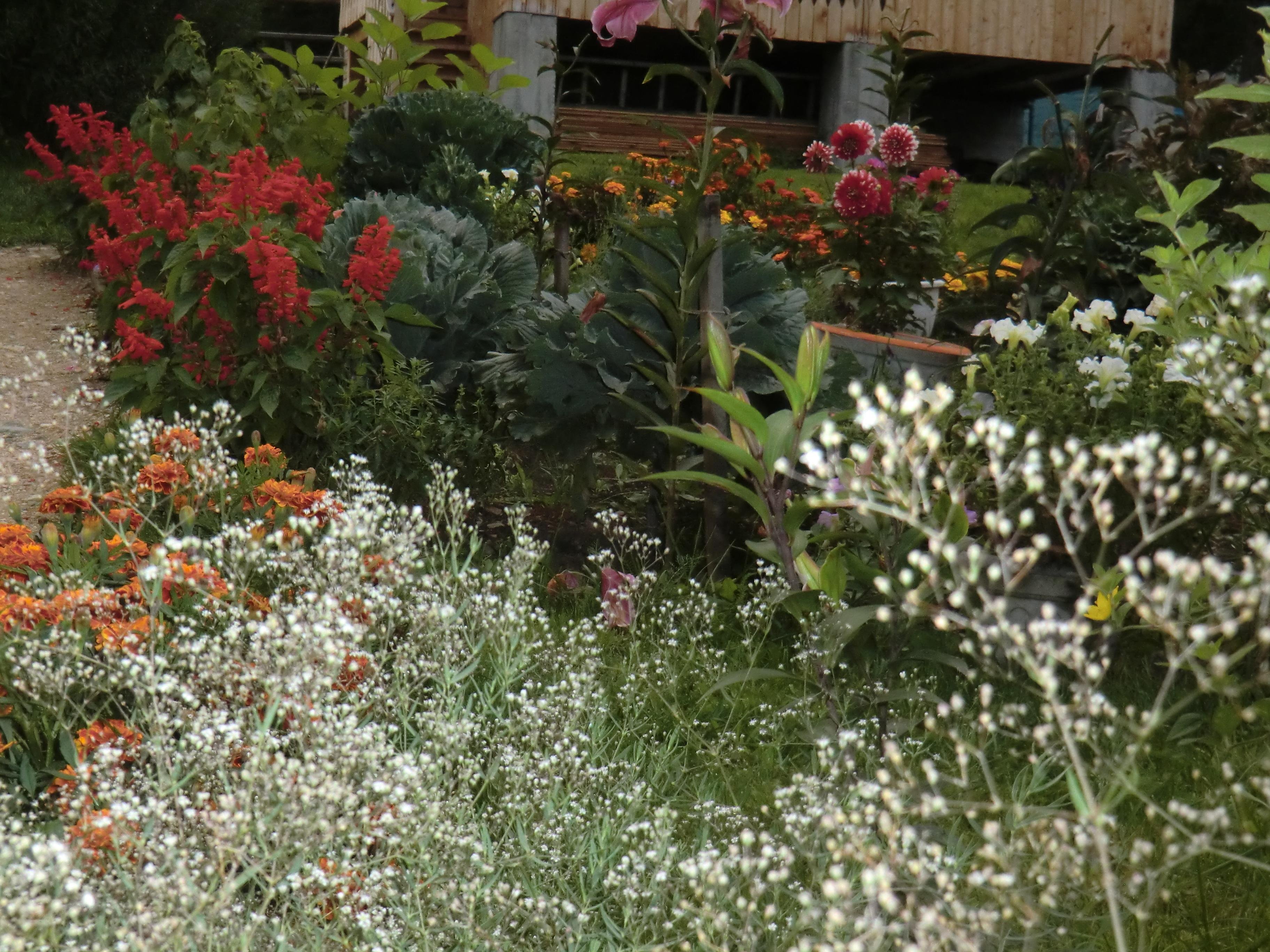 Сокол - фото 25