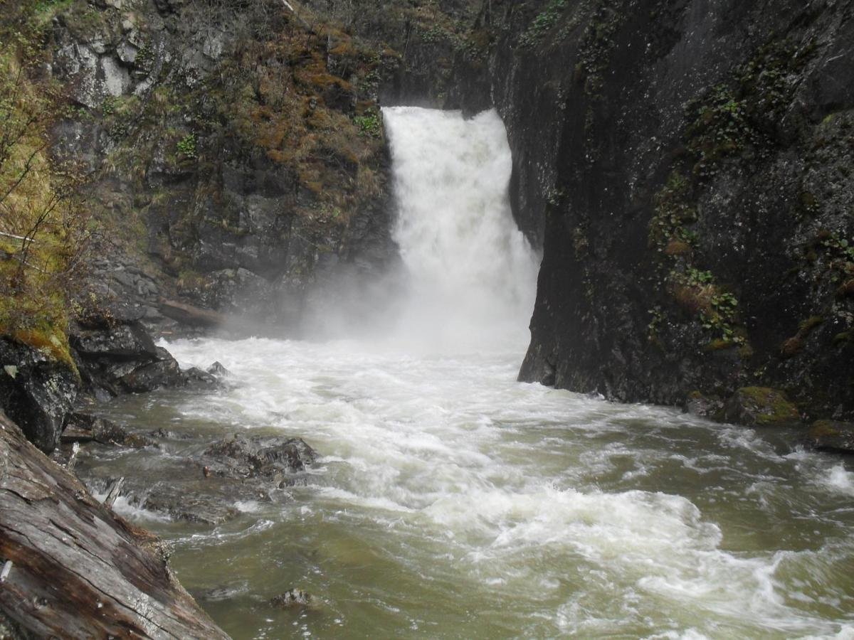 Сокол - фото 26