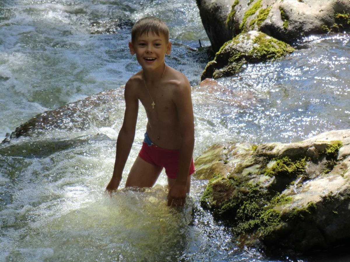 Сокол - фото 29