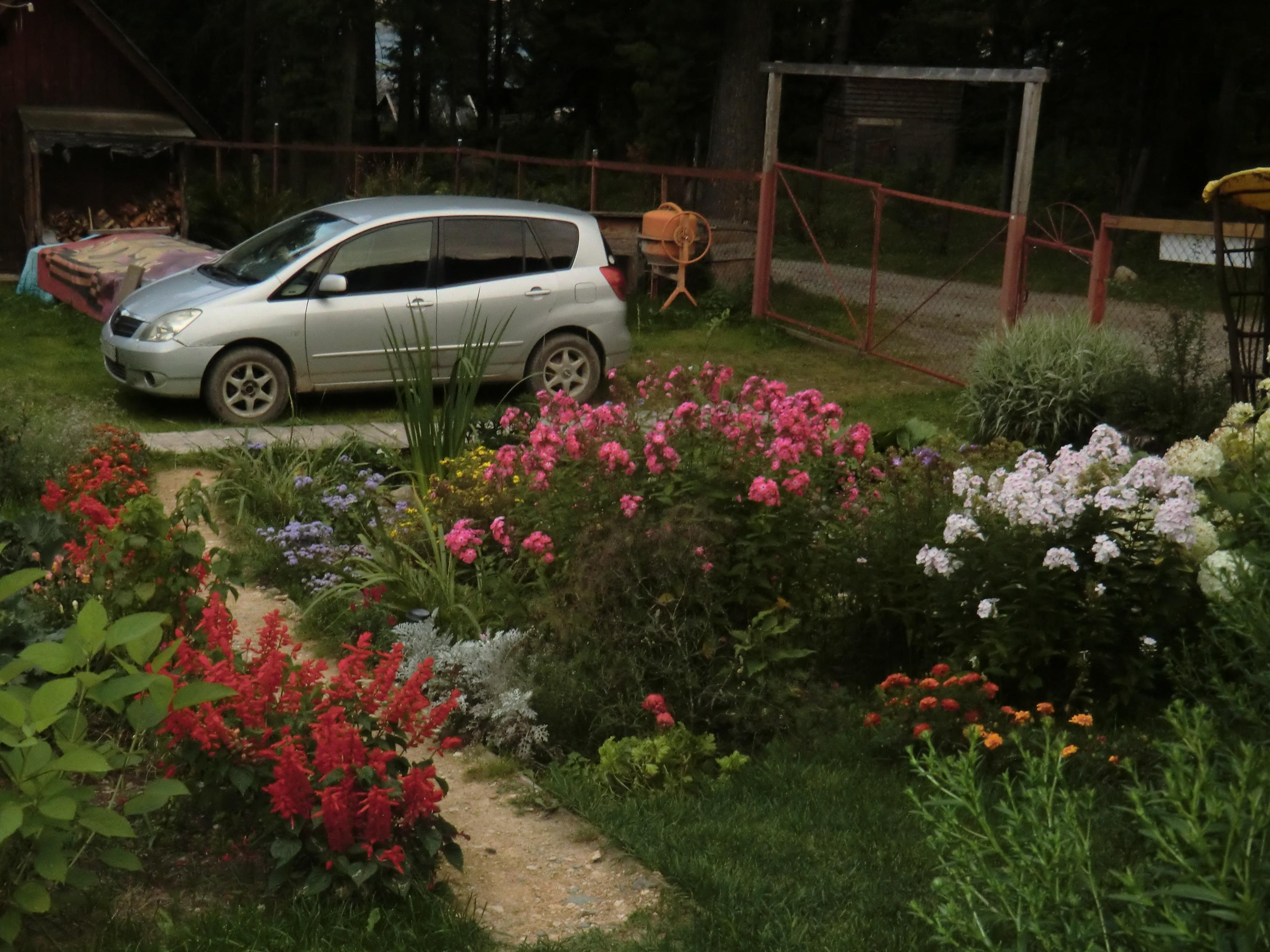 Сокол - фото 37