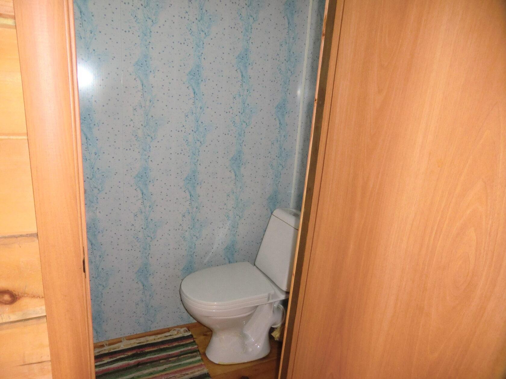 Сокол - фото 67