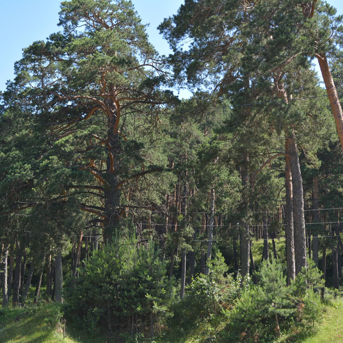 Пять холмов - фото 21