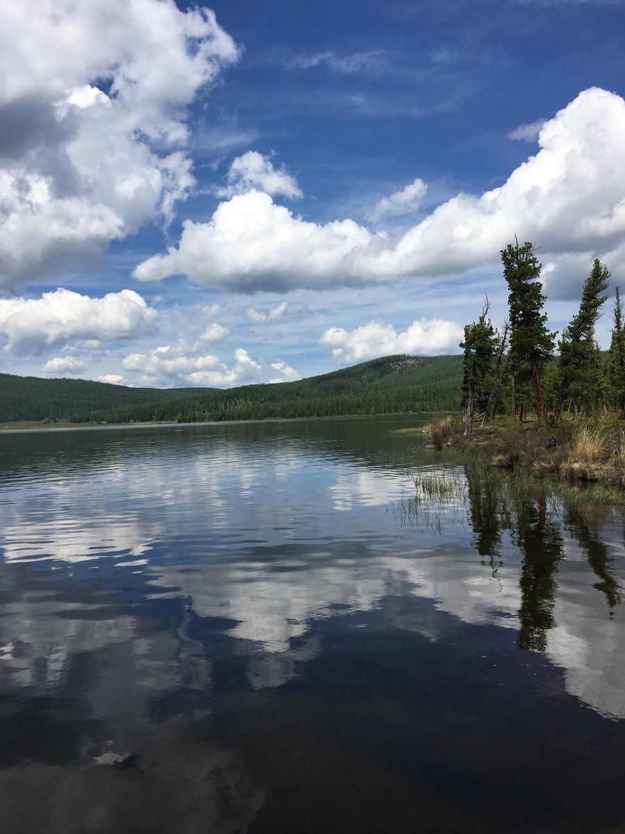 Апартаменты на 33-й км автодороги Акташ-Улаган, база отдыха Балыкту - фото 15