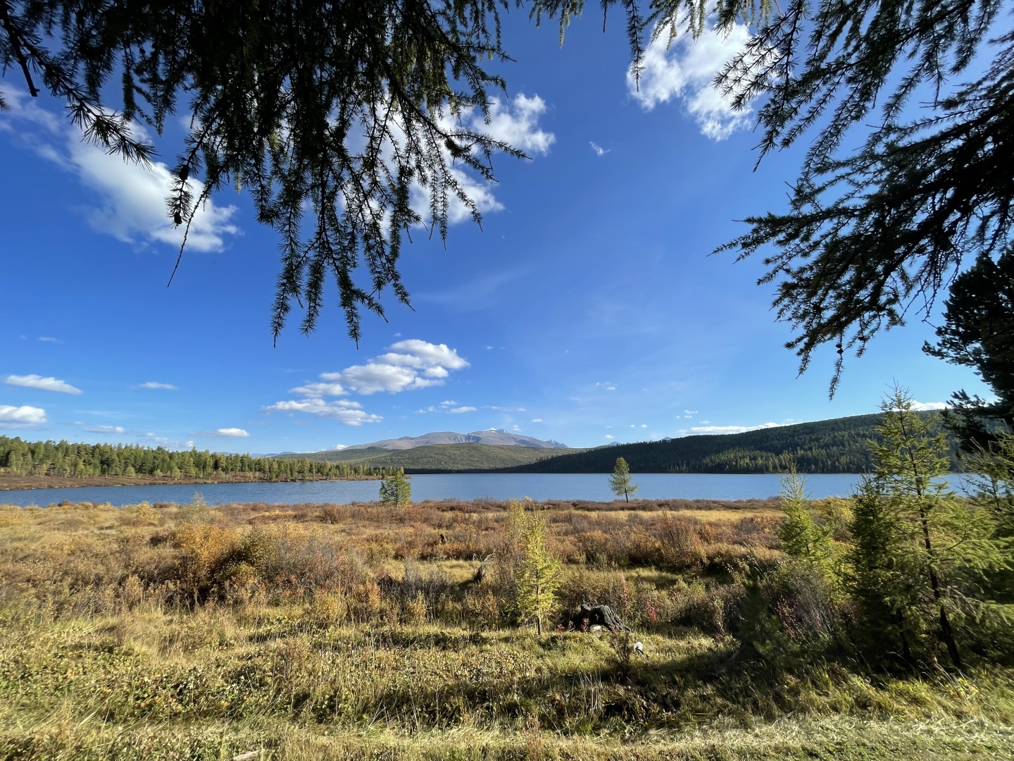 Апартаменты на 33-й км автодороги Акташ-Улаган, база отдыха Балыкту - фото 21