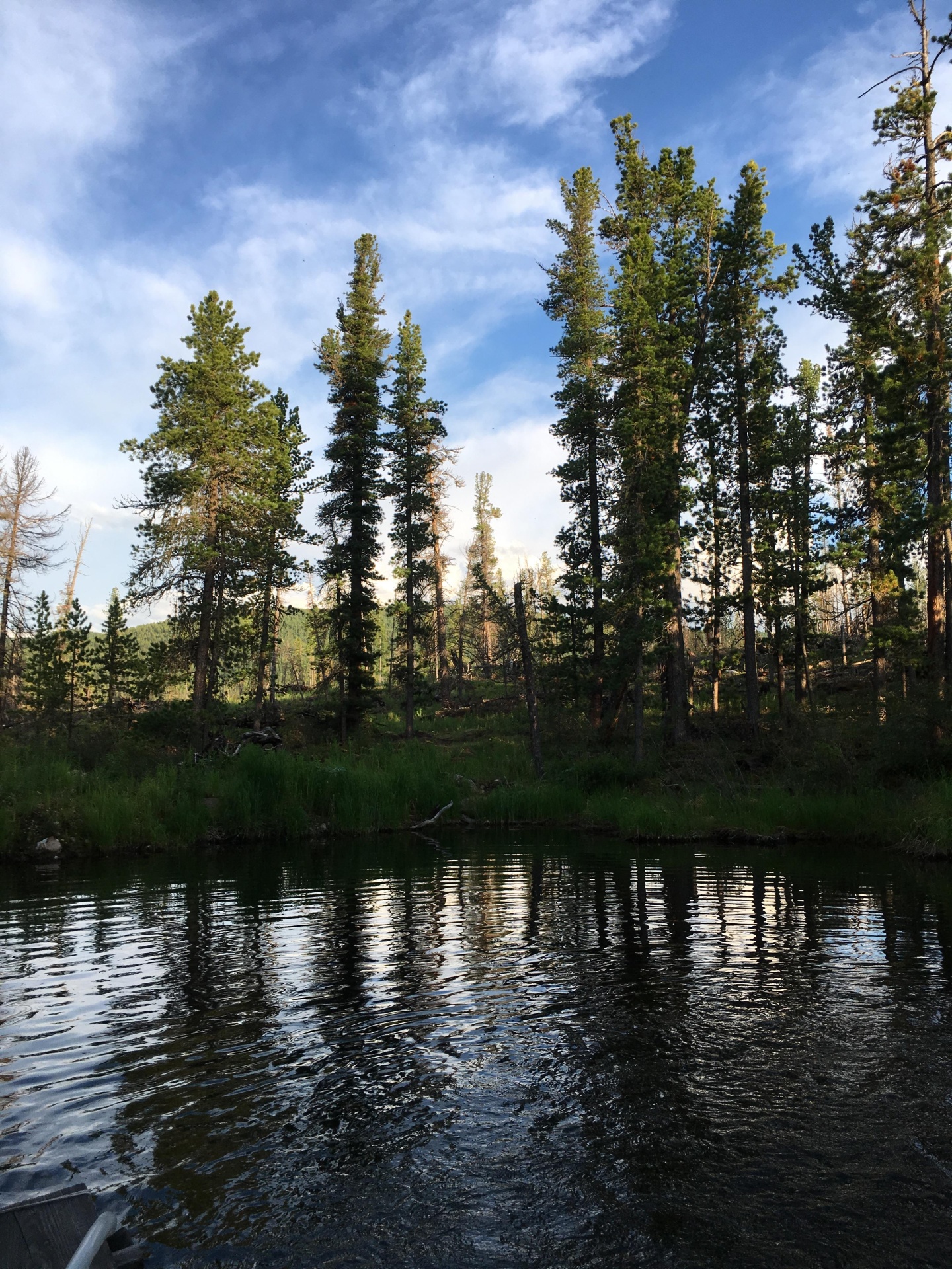 Апартаменты на 33-й км автодороги Акташ-Улаган, база отдыха Балыкту - фото 24