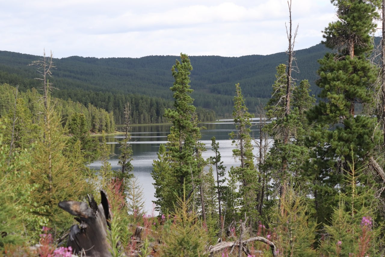 Апартаменты на 33-й км автодороги Акташ-Улаган, база отдыха Балыкту - фото 51