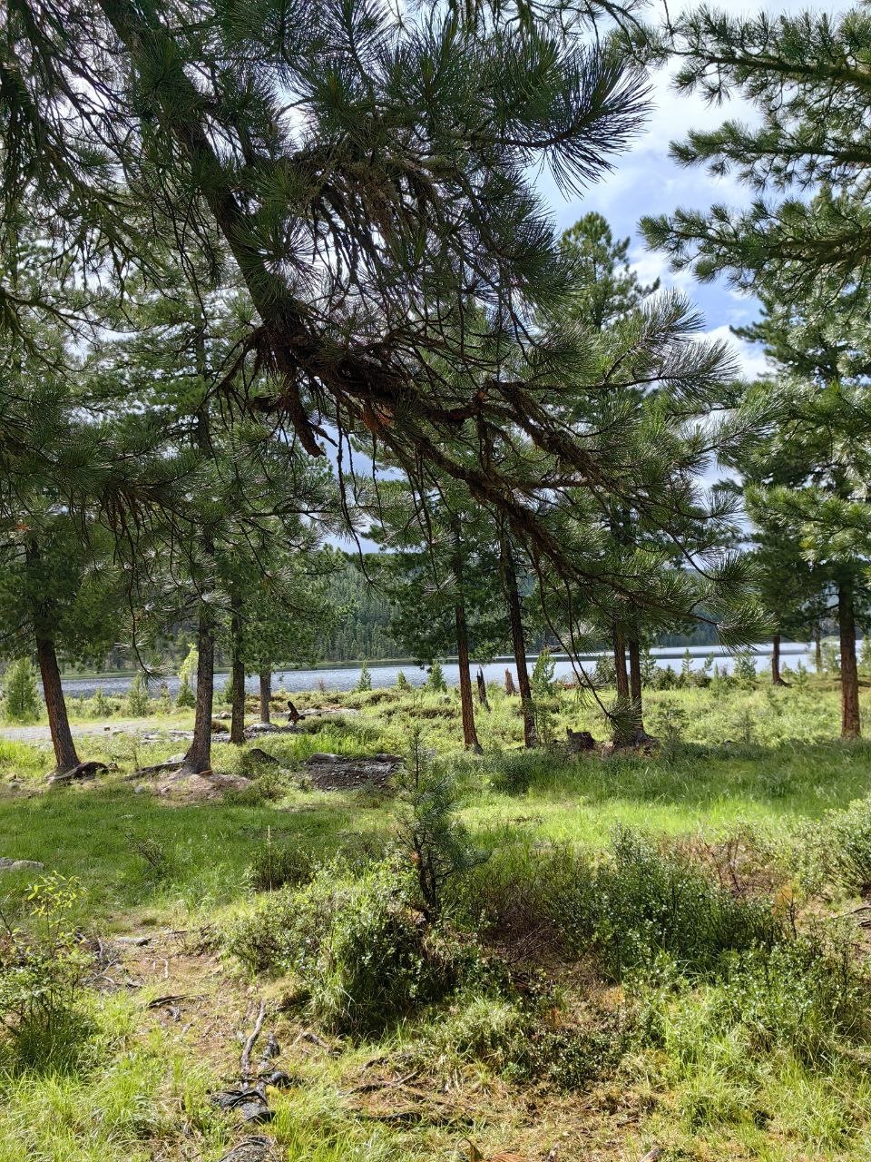 Апартаменты на 33-й км автодороги Акташ-Улаган, база отдыха Балыкту - фото 53