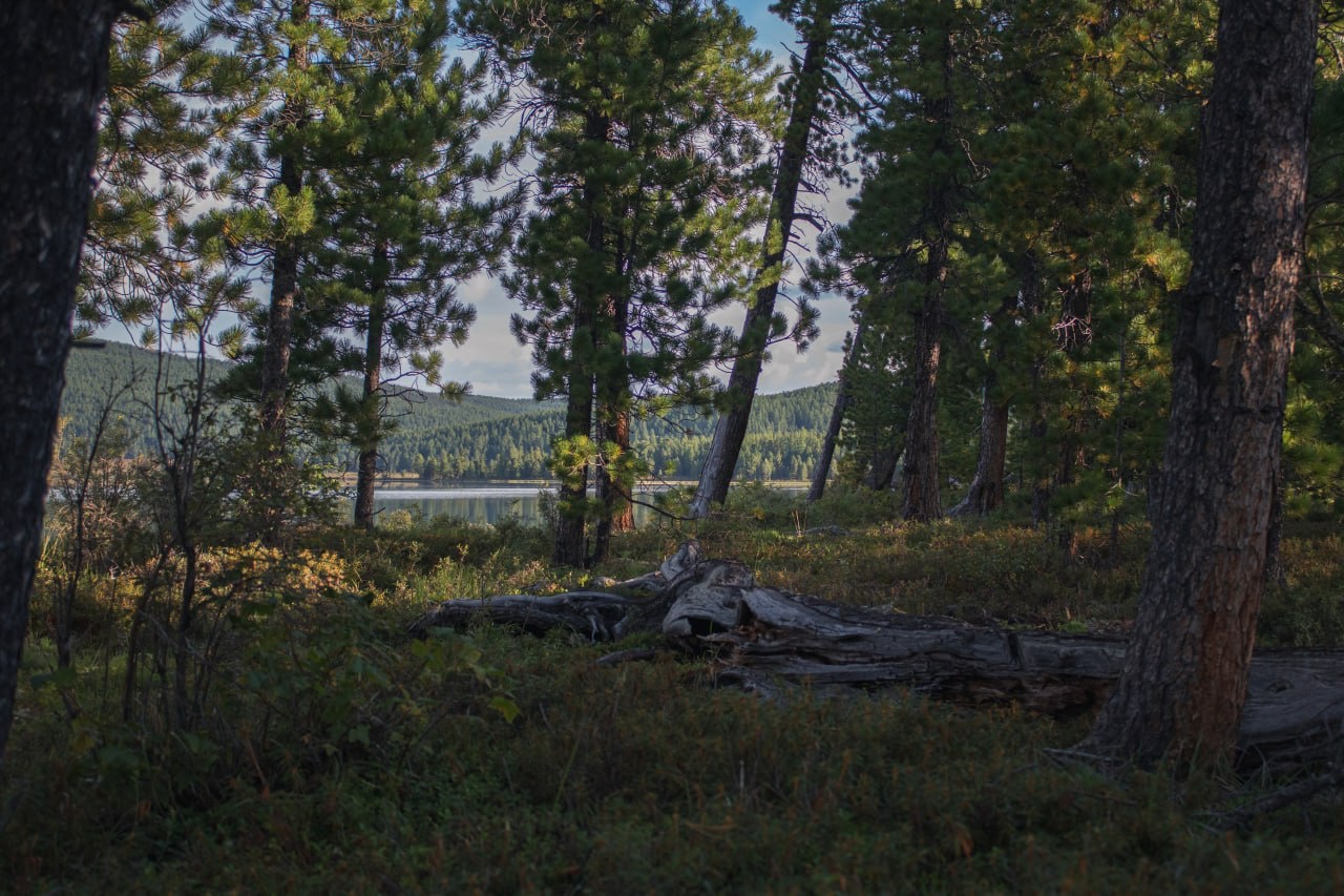 Апартаменты на 33-й км автодороги Акташ-Улаган, база отдыха Балыкту - фото 56