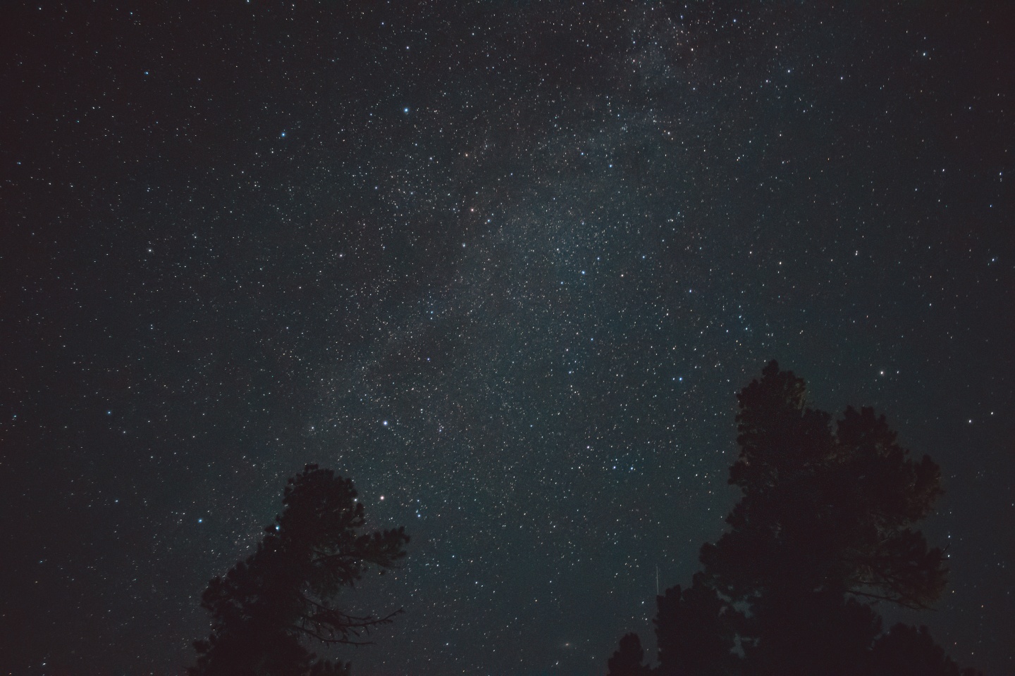 Апартаменты на 33-й км автодороги Акташ-Улаган, база отдыха Балыкту - фото 60