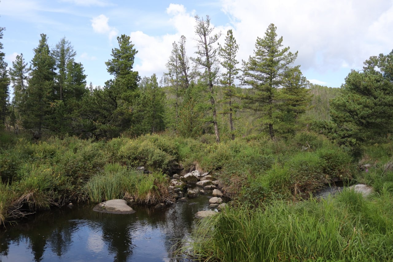 Апартаменты на 33-й км автодороги Акташ-Улаган, база отдыха Балыкту - фото 61