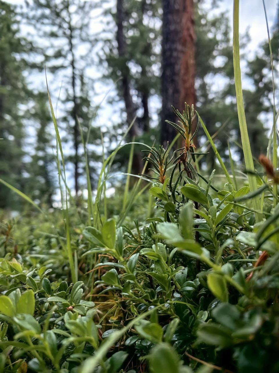 Апартаменты на 33-й км автодороги Акташ-Улаган, база отдыха Балыкту - фото 67