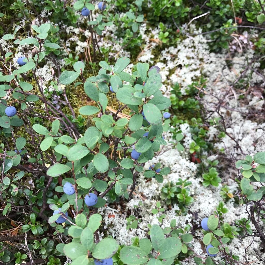 Апартаменты на 33-й км автодороги Акташ-Улаган, база отдыха Балыкту - фото 73