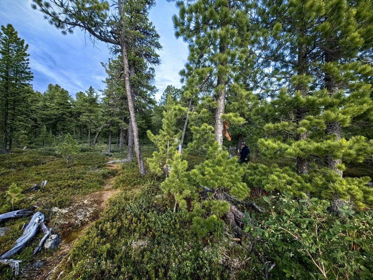 Апартаменты на 33-й км автодороги Акташ-Улаган, база отдыха Балыкту - фото 76