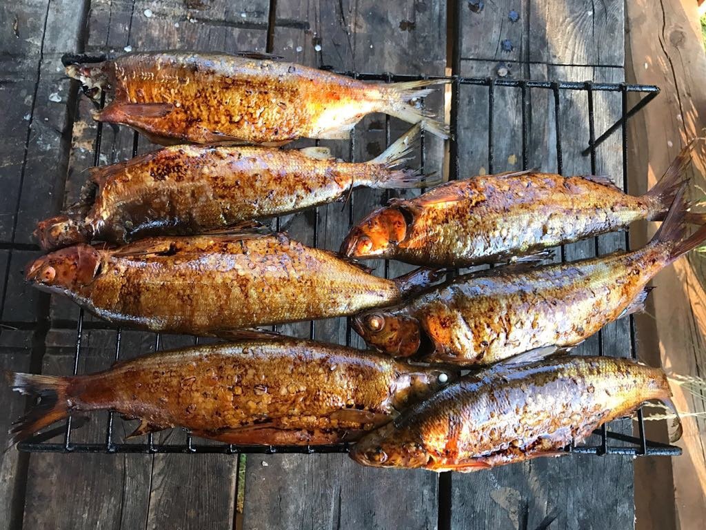 Апартаменты на 33-й км автодороги Акташ-Улаган, база отдыха Балыкту - фото 85