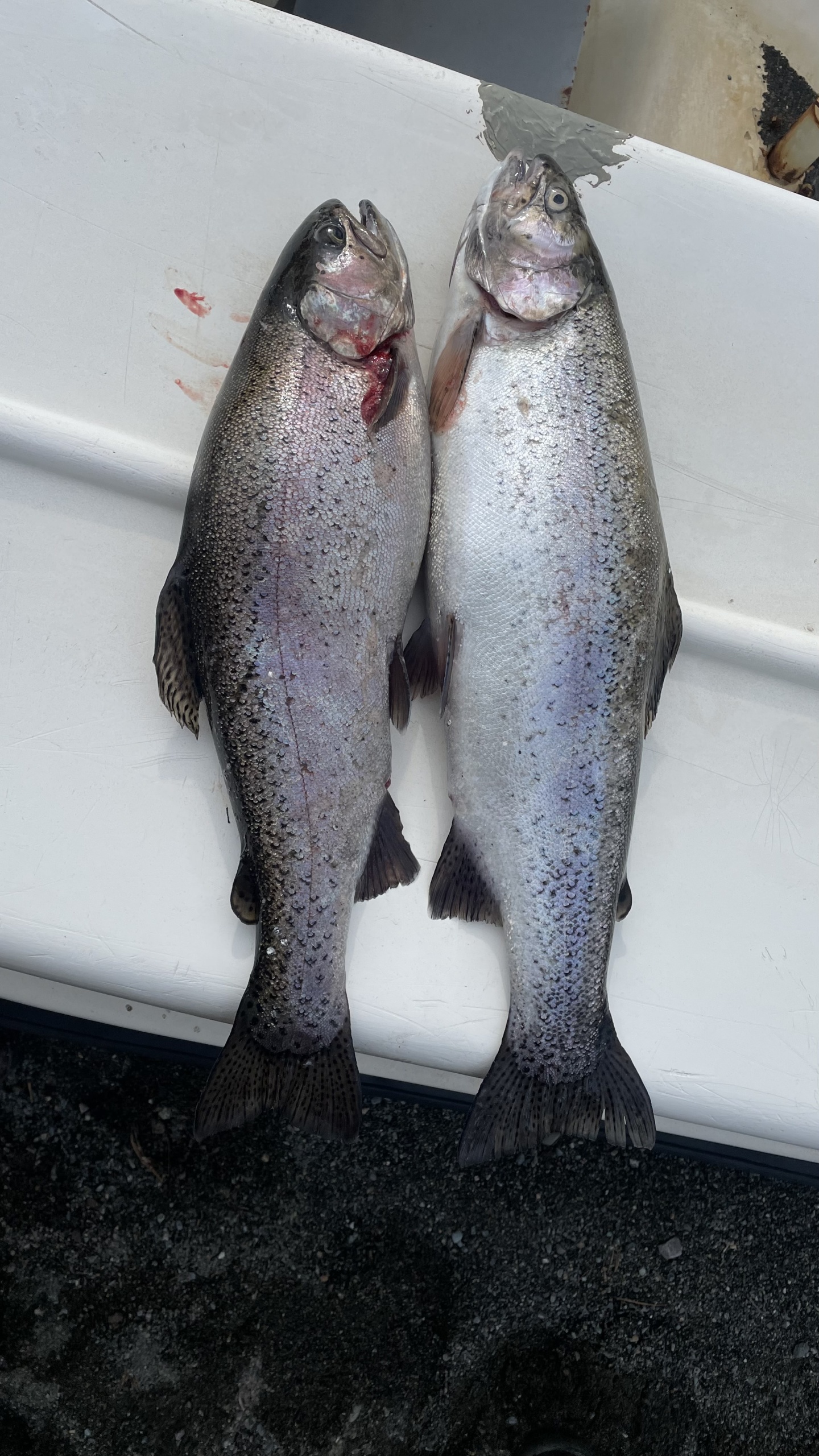 Апартаменты на 33-й км автодороги Акташ-Улаган, база отдыха Балыкту - фото 87