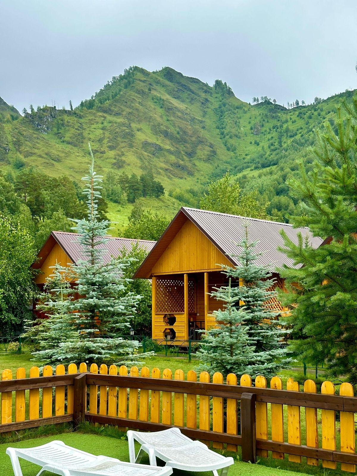 Голубые горы - фото 1