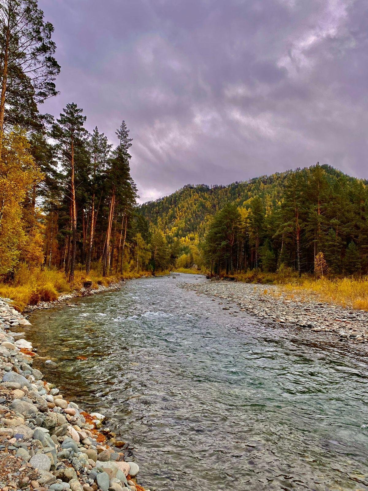 Голубые горы - фото 3