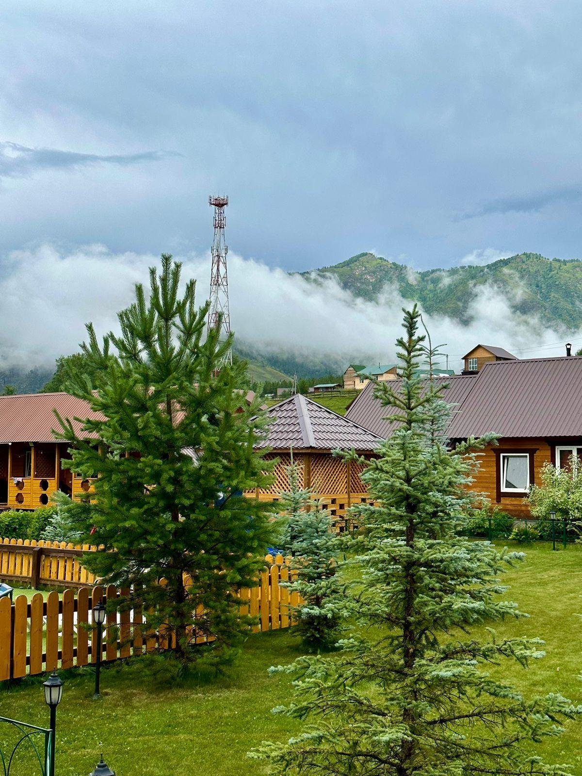 Голубые горы - фото 5