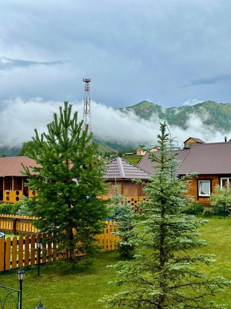 Голубые горы - фото 5