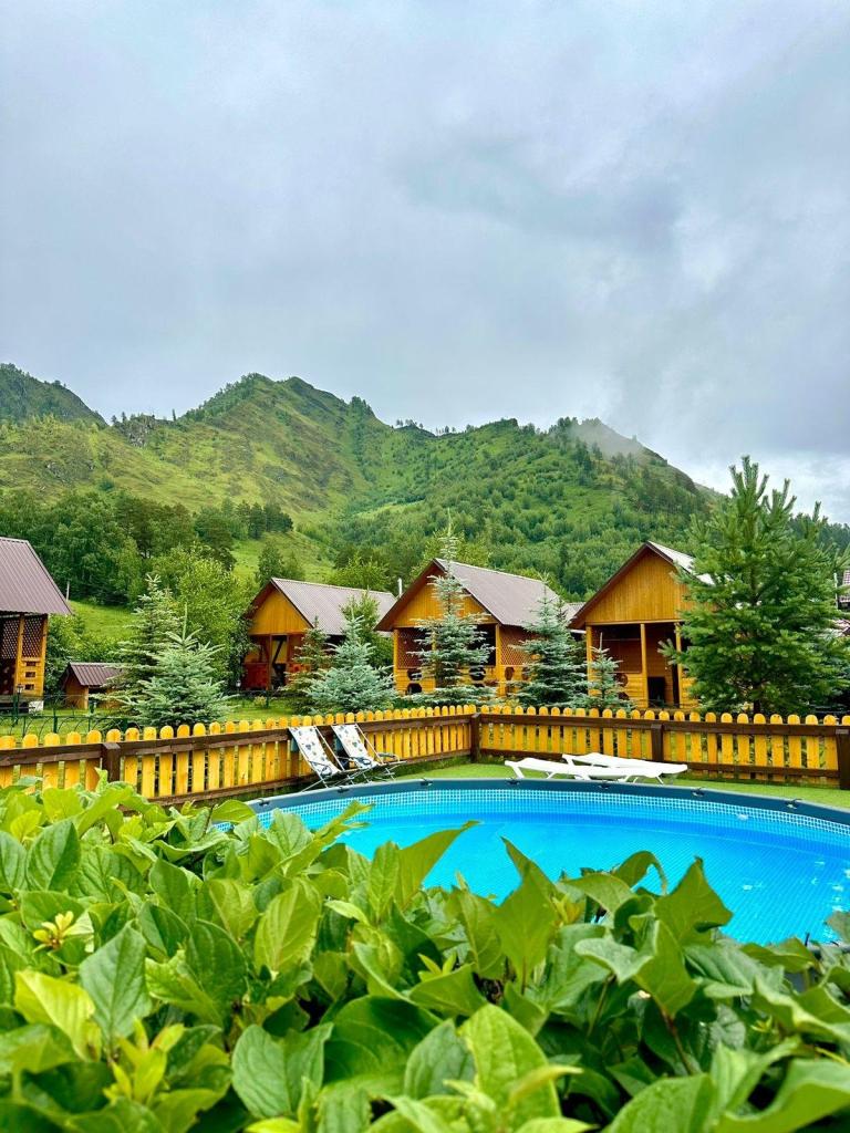 Голубые горы - фото 10