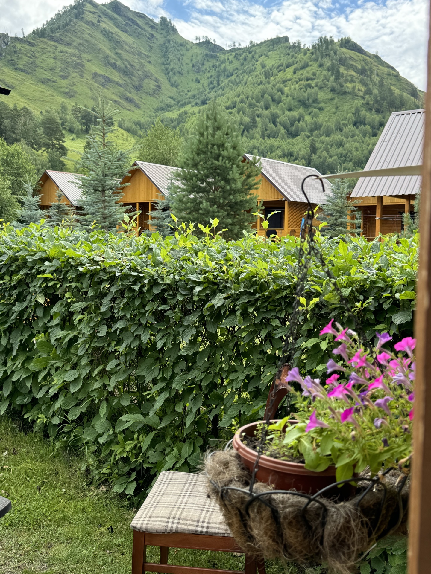 Голубые горы - фото 20