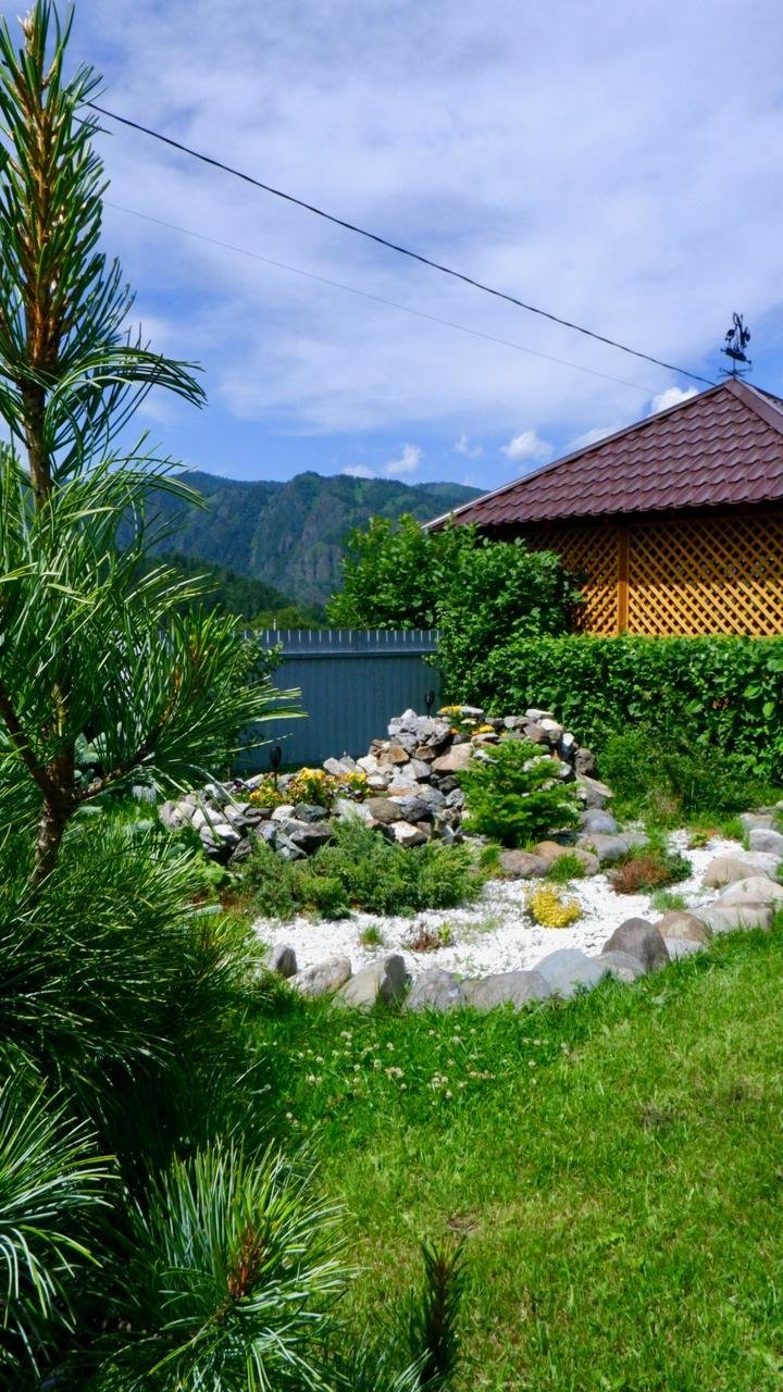 Голубые горы - фото 22