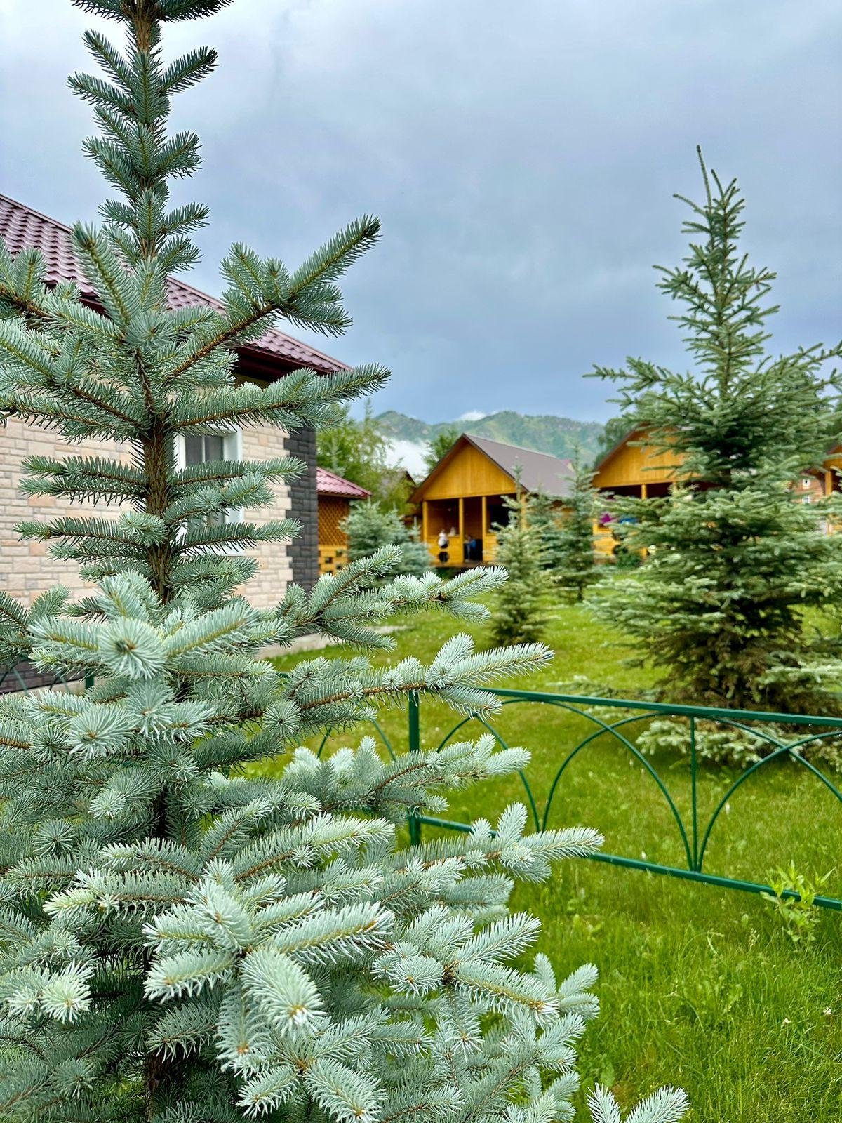 Голубые горы - фото 25