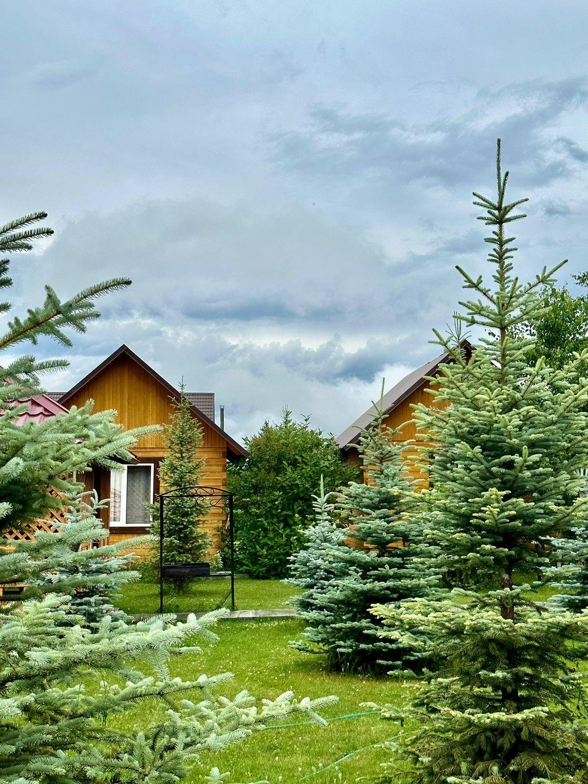 Голубые горы - фото 26