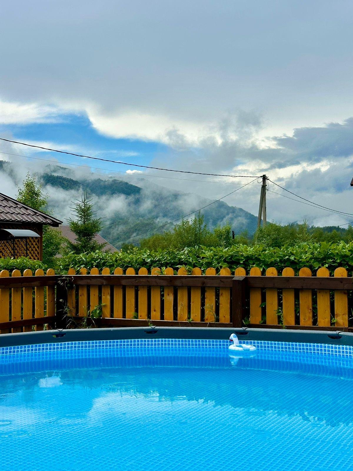 Голубые горы - фото 30