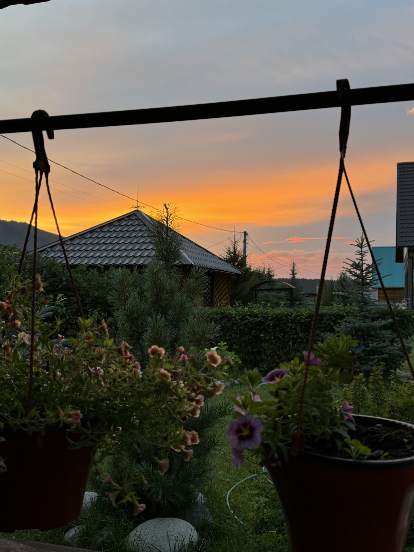 Голубые горы - фото 34