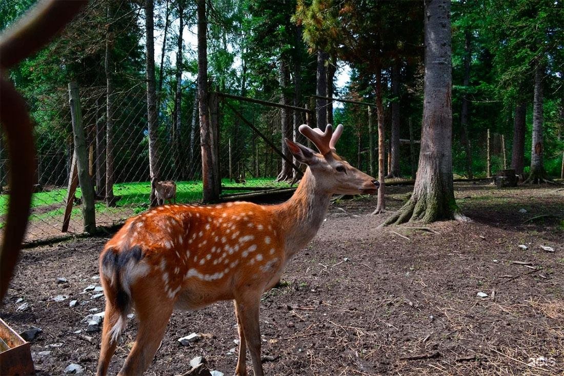 Глыба - фото 47